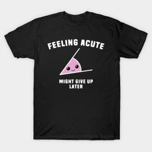Funny Angle Math Pun T-Shirt